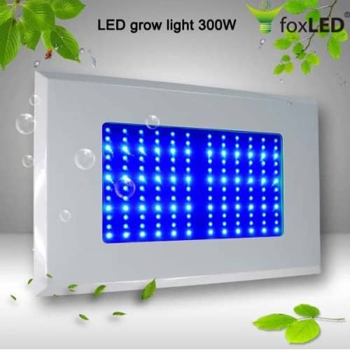 LED Grow light 300W